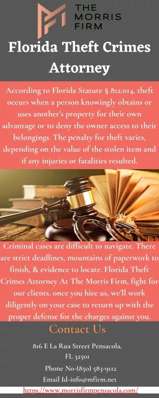 Florida Theft Crimes Attorney