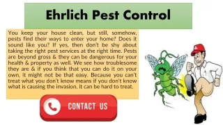 Ehrlich pest control gives Complete pest removal service with maintenance