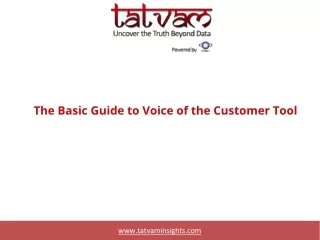 The Basic Guide to Voice of the Customer Tool