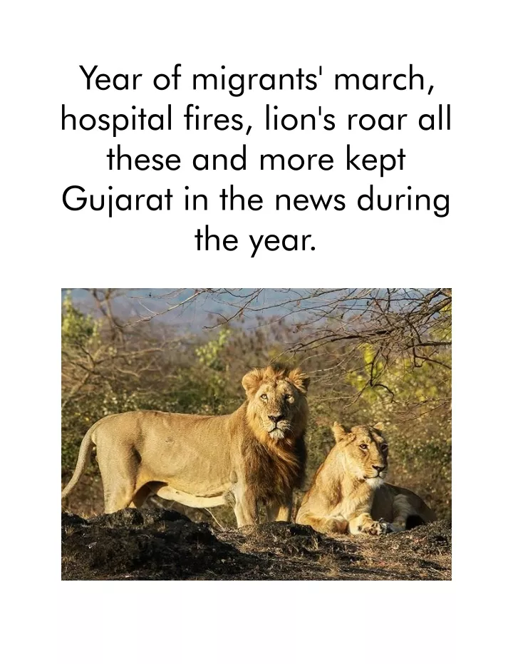 year of migrants march hospital fires lion s roar