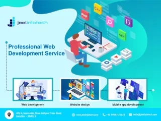 professional web development service