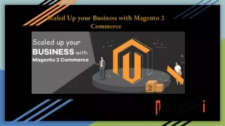 scaled up your business with magento 2 commerce
