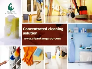 Concentrated cleaning solution-www.cleankangaroo.com