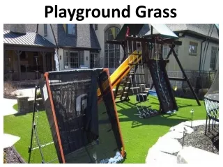 Playground Grass