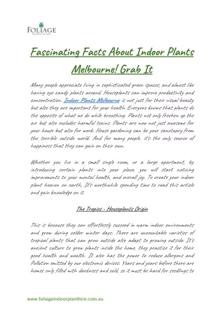 Fascinating Facts About Indoor Plants Melbourne! Grab It