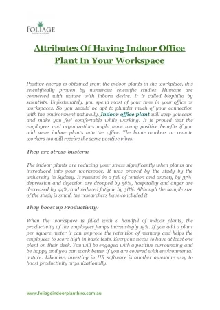 Attributes Of Having Indoor Office Plant In Your Workspace