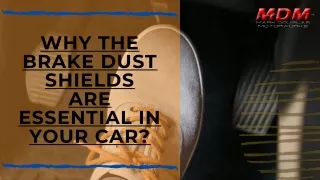 why the brake dust shields are essential in your