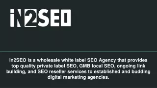 in2seo is a wholesale white label seo agency that