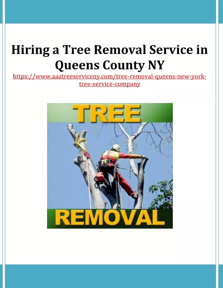 hiring a tree removal service in queens county