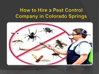 How to Hire a Pest Control Company in Colorado Springs