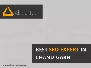 Best SEO expert in Chandigarh