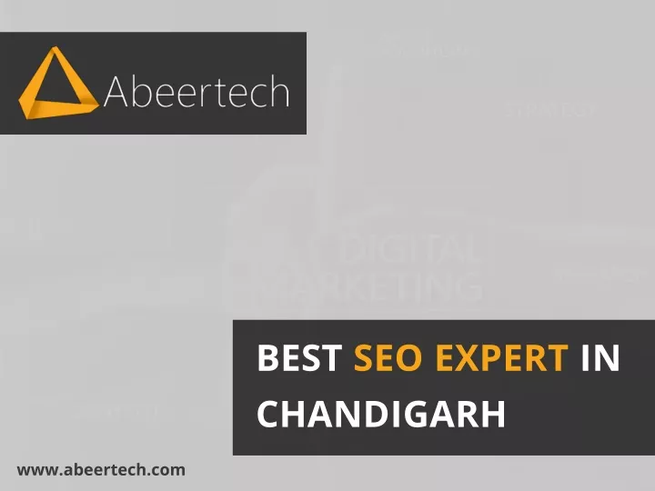 best seo expert in chandigarh