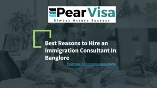 How immigration consultant help you