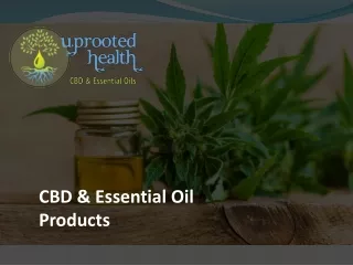 Where Can I Buy The Best CBD Products Online?