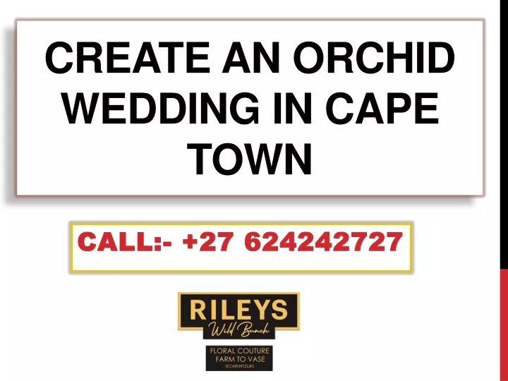 create an orchid wedding in cape town