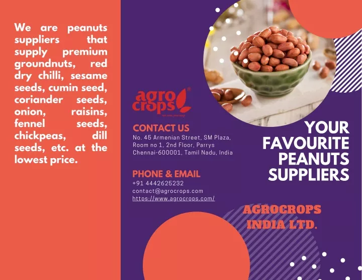 we are peanuts suppliers supply groundnuts