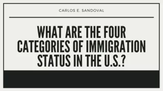 What are the Four Categories of Immigration Status in the U.S.?