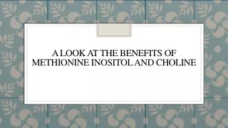 A Look At The Benefits Of Methionine Inositol And Choline