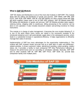 what is sap sd module sap sd sales