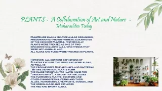 PLANTS -  A Collaboration of Art and Nature  - Maharashtra Today