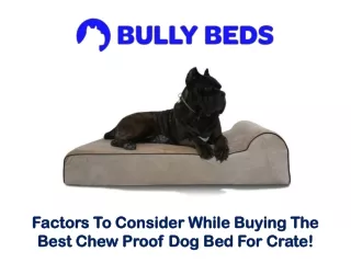Factors To Consider While Buying The Best Chew Proof Dog Bed For Crate!