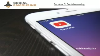 Services Of Socialfamousing