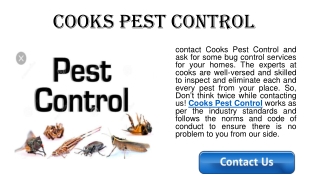 Bug Control Made Easy with Cooks Pest Control