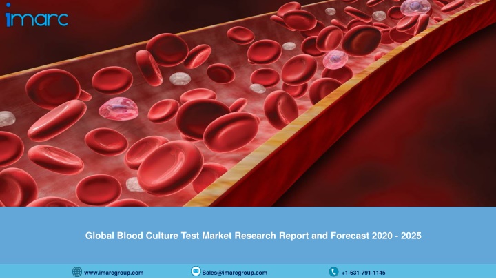 global blood culture test market research report
