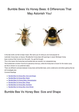 Bumble Bees Vs Honey Bees 6 Differences That May Astonish You