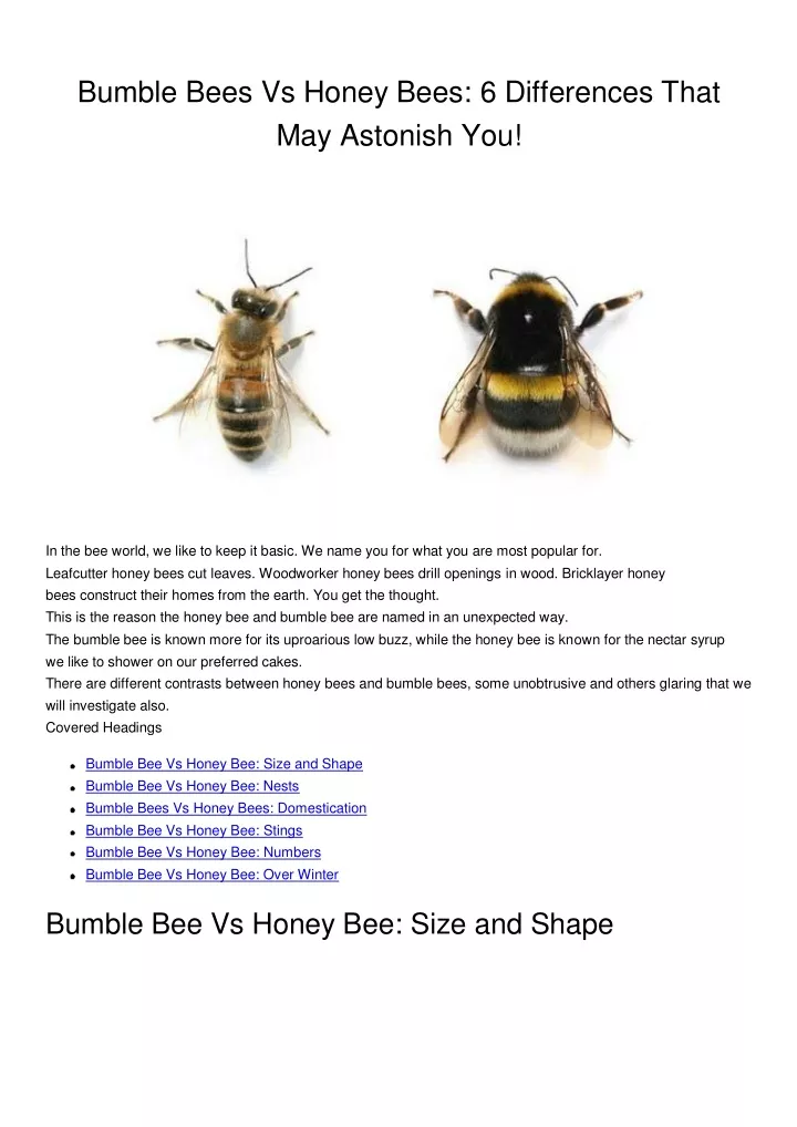 bumble bees vs honey bees 6 differences that