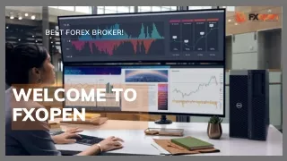 PAMM account | FXOpen | For Investors