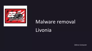 Malware removal Livonia