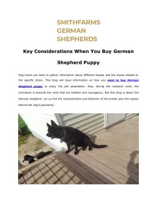 Key Considerations When You Buy German Shepherd Puppy