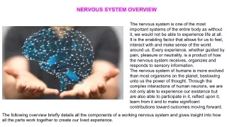 NERVOUS SYSTEM OVERVIEW