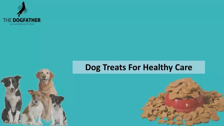 dog treats for healthy care