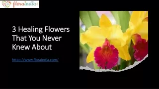 3 Healing Flowers That You Never Knew About