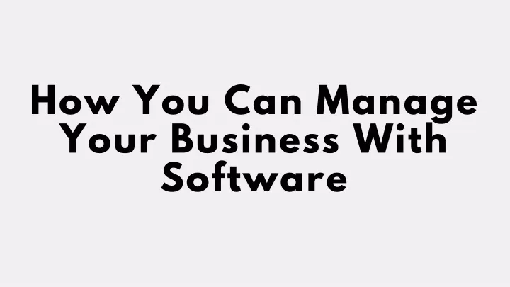 how you can manage your business with software