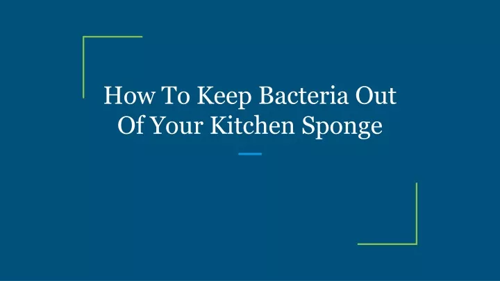 how to keep bacteria out of your kitchen sponge