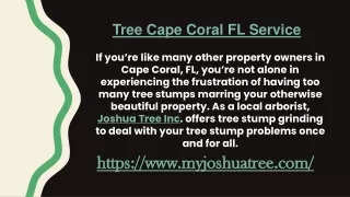 Tree Service Cape Coral FL