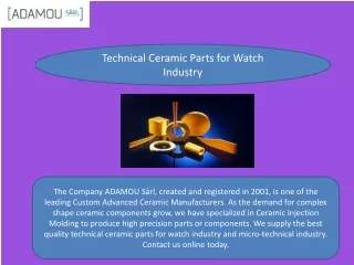 Technical Ceramic Parts for Watch Industry
