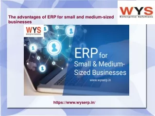 Benefits Of ERP Solution For SME Sector﻿