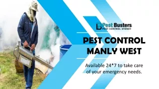 Pest Busters - Get The Best Pest Control Services in Manly West | Pest Removal Services