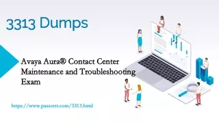 3313 dumps 3313 dumps