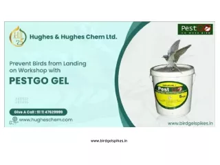 Prevent Birds from Landing on Workshop with Pestgo Gel