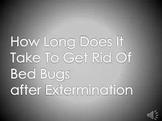 How Long Does It Take To Get Rid Of Bed Bugs after Extermination