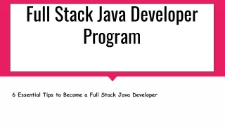 Full Stack Java Developer Program