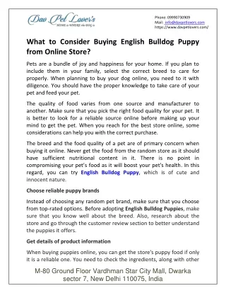 phone 09990730909 mail info@davpetlovers