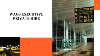 wags executive private hire