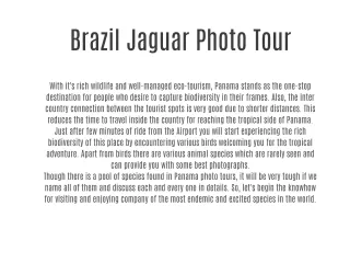 Brazil Jaguar Photo Tour