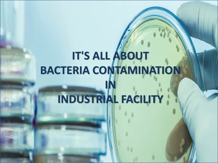 it s all about bacteria contamination